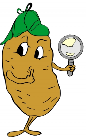 potato (1).jpg